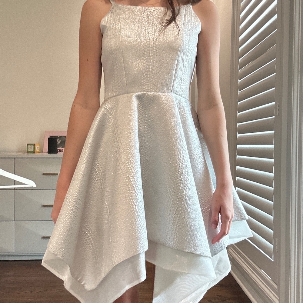 Zoë LTD dress